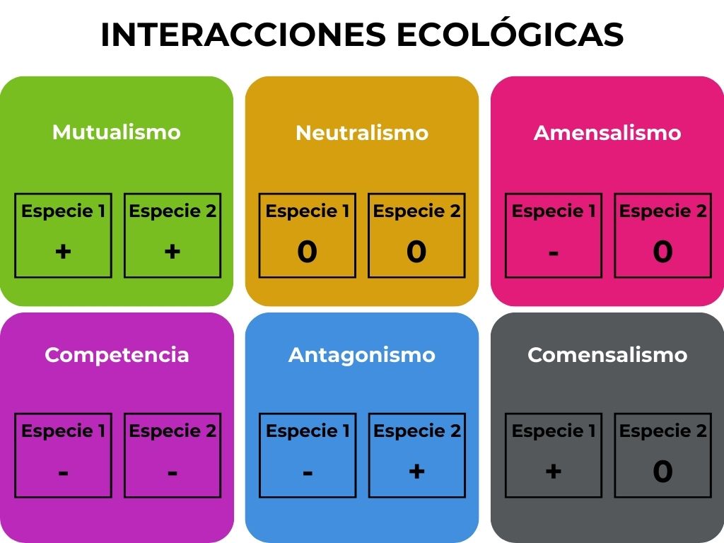Interacciones ecológicas entre organismos