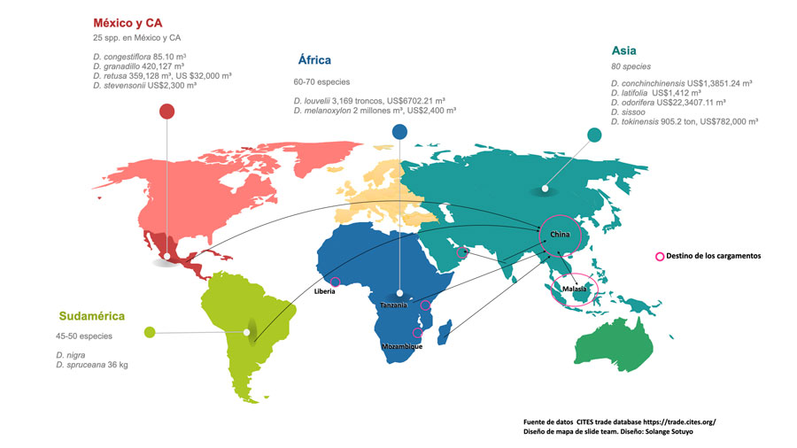 Número de especies de Dalbergia por región geográfica