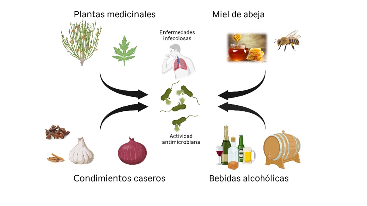 Compuestos de los remedios caseros