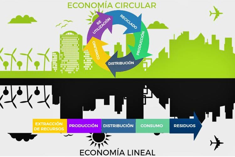 De modelo lineal a circular