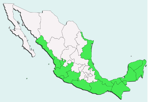 Distribución del árbol de capomo en México