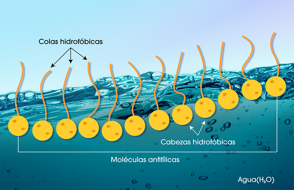 Monocapas de alcoholes grasos