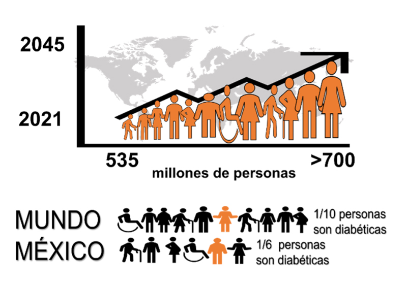 Número de pacientes adultos diabéticos