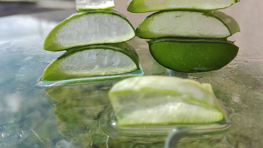 Pulpa de Aloe vera