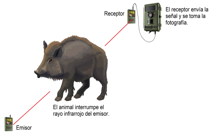 Equipo de fototrampeo con sistema activo