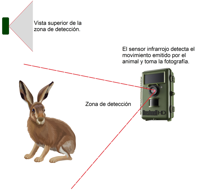 Sistema de activación pasiva en el que se muestra la zona de detección desde una vista frontal y una vista superior.
