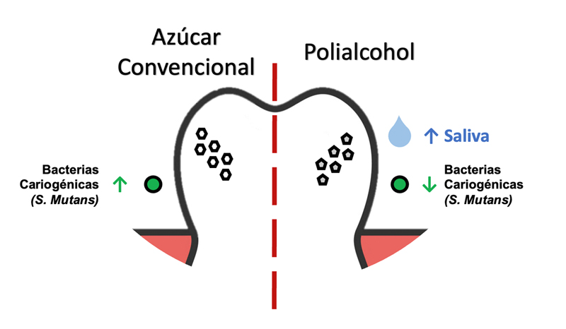 Beneficios en la cavidad oral al ingerir polialcoholes