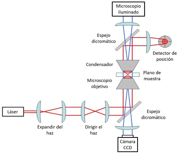 Esquema de una trampa óptica