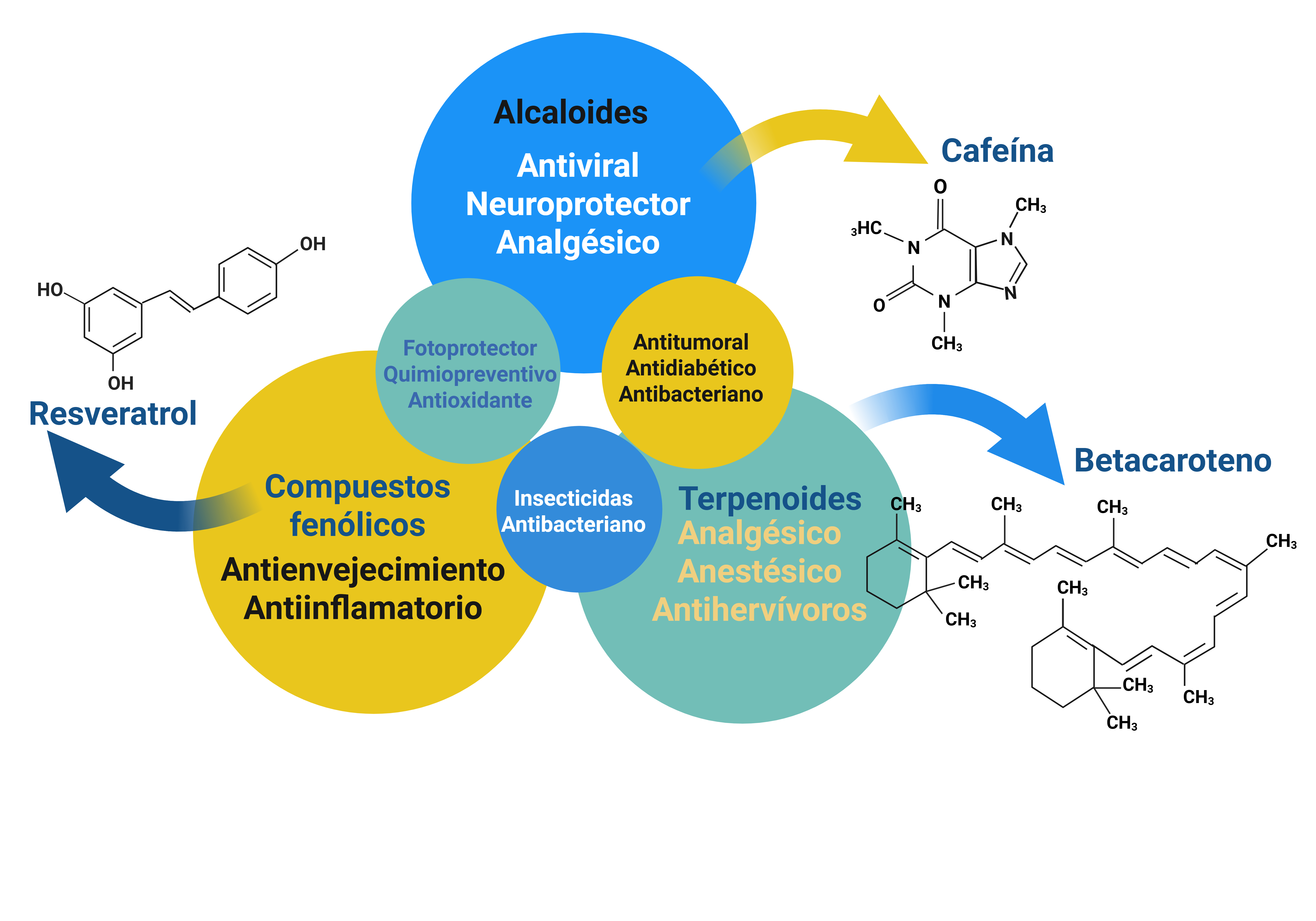 Principales grupos de metabolitos secundarios y actividad biologica