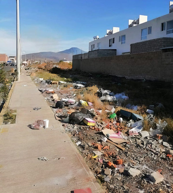 Residuos sólidos inorgánicos en áreas verdes