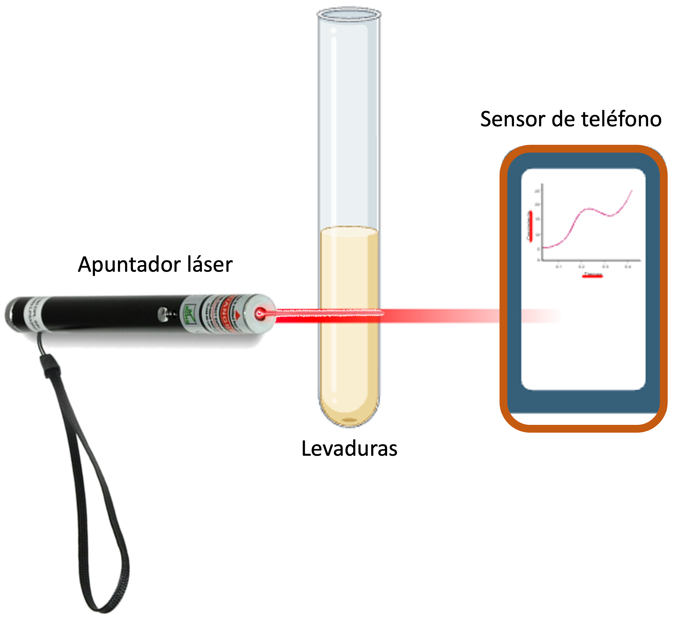 Construccion de un turbidimetro con un laser