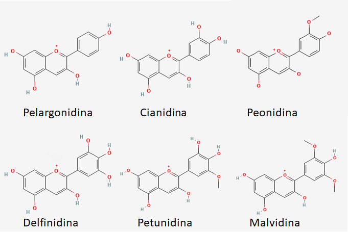 Estructura de las antocianidinas más comunes