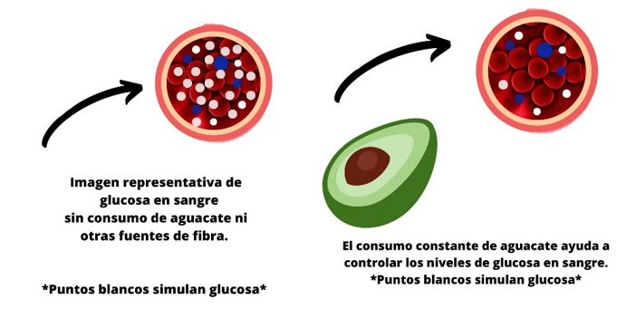 Glucosa en sangre con y sin consumo de aguacate