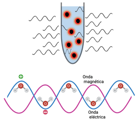 Interacción entre las microondas y las moléculas