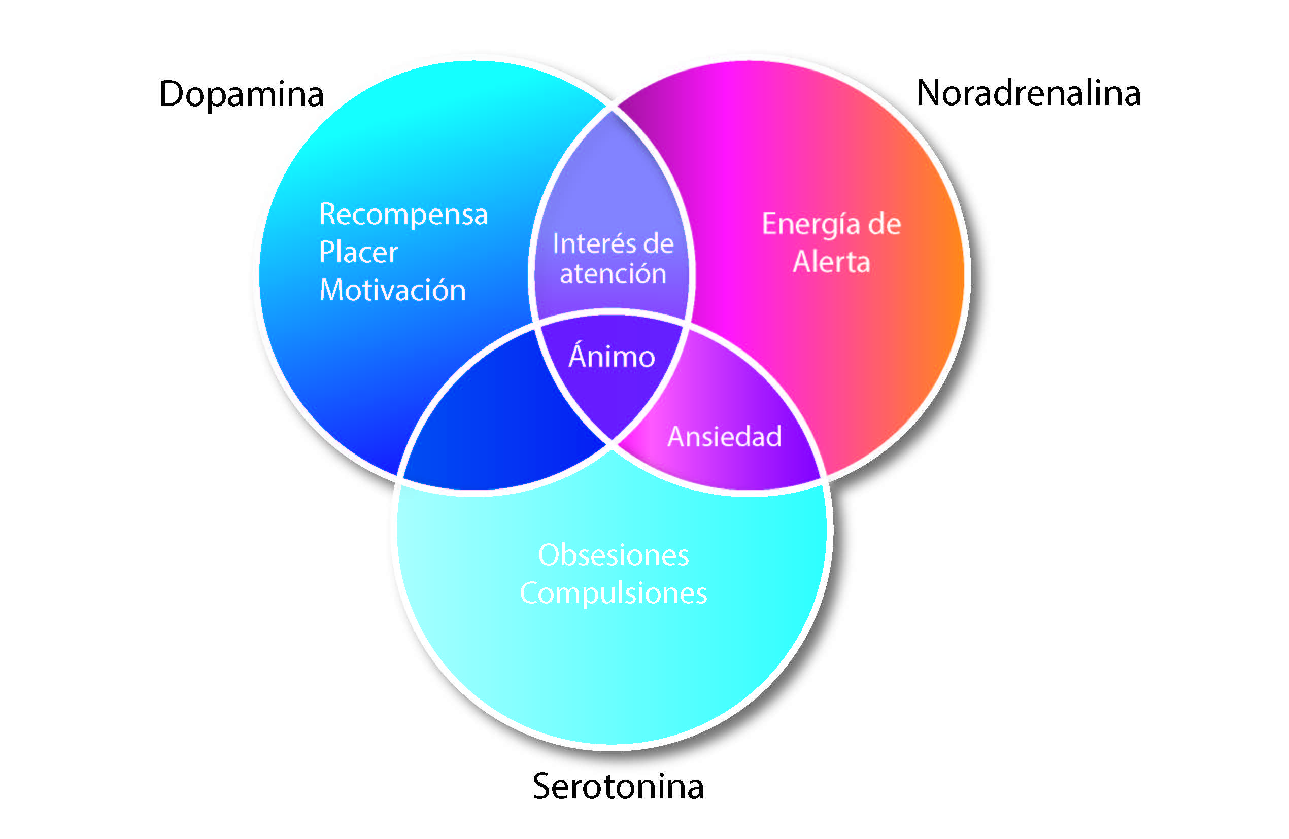 Imagen de neurotransmisores que participan en la depresión