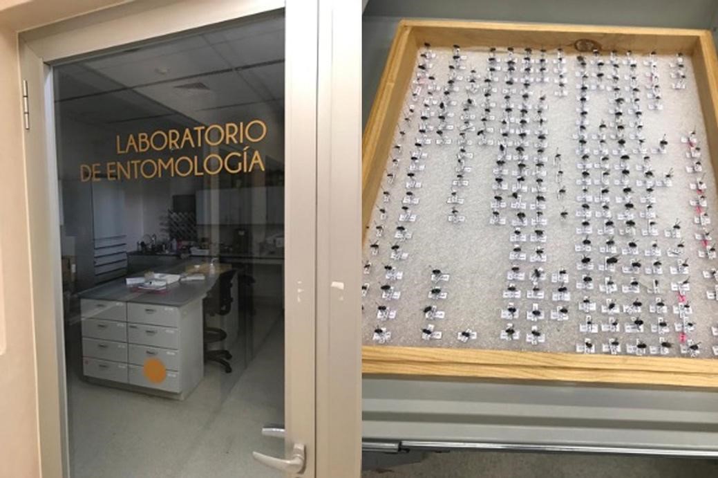 Laboratorio de Entomología Forense de la UNAM