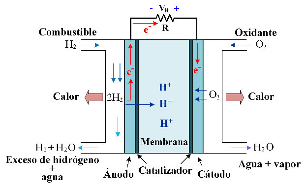 Celda de combustible de membrana de intercambio protónico