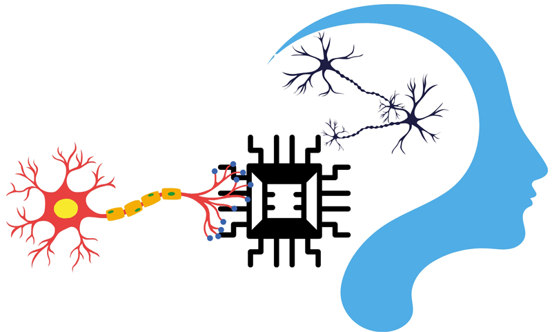 Ejemplificación de redes neuronales artificiales