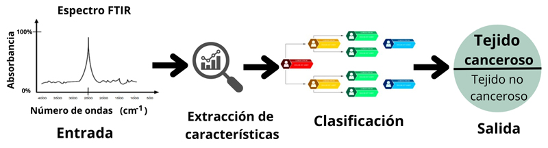 Detección de tejido canceroso con aprendizaje automático