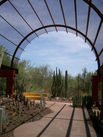 Desert Botanical Garden 2, Arizona