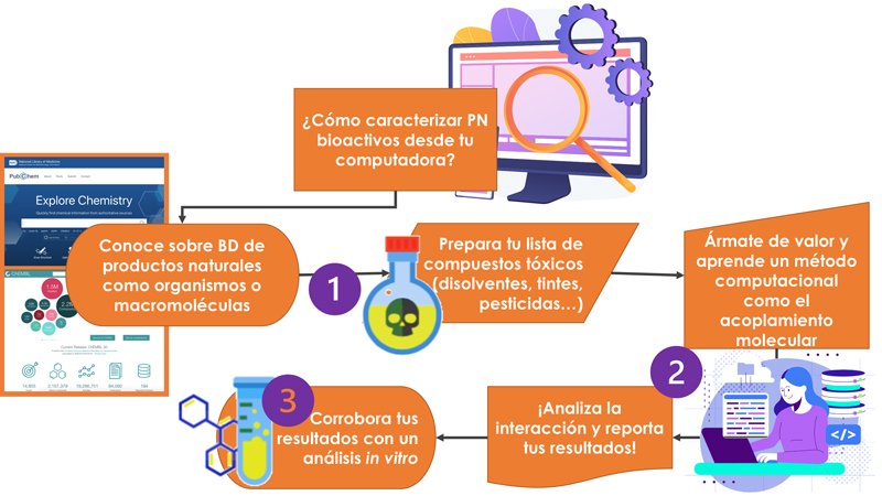 Cómo caracterizar productos naturales activos desde tu computadora