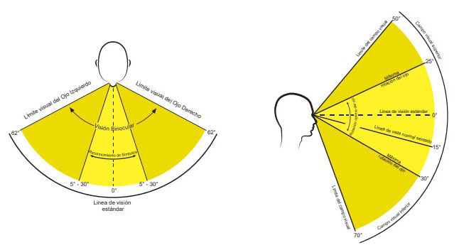 Campo visual de una persona con visión normal