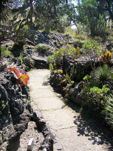 Jardín de plantas del desierto Helia Bravo 2, JBot UNAM