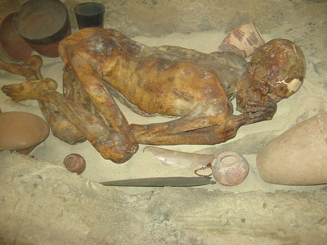 Momia masculina de Gebelein, que tenía tatuajes en su cuerpo