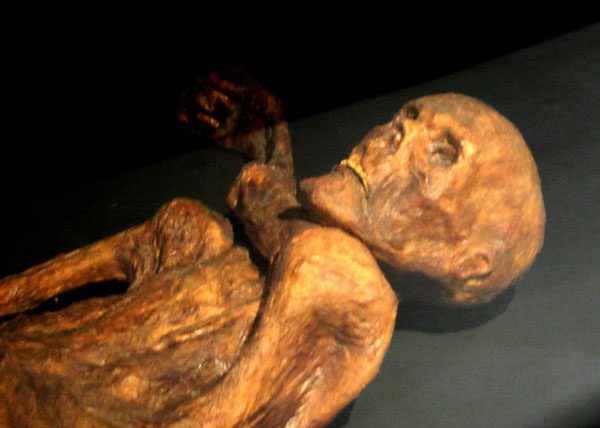 Momia Ötzi, “el hombre de hielo”, con 77 tatuajes