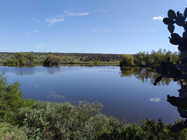 Presa Las Colonias, JBot El Charco del Ingenio, Guanajuato