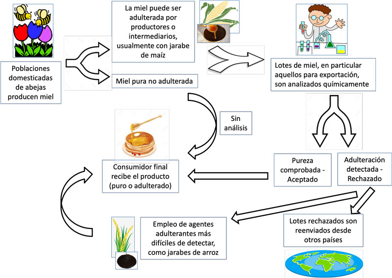 Procesamiento de muestras de miel