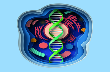 a3_Moleculas_380x250
